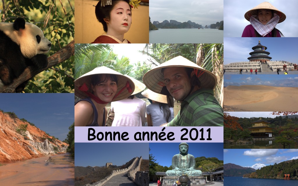 bonne annee 2011