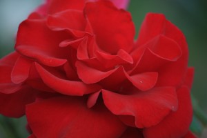 IMG_0175