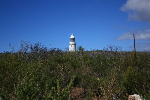 IMG_2891 Cape Naturaliste