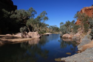IMG_1047 Simpsons gap