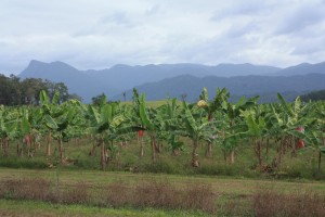 IMG_2013