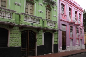 IMG_0242